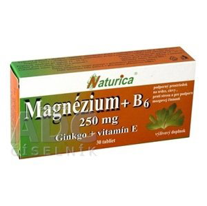 PharmTurica s.r.o. Naturica MAGNEZIUM 250 mg+B6+Ginkgo+vitamín E tbl 1x30 ks 30 ks